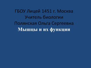 ГБОУ Лицей 1451 г. Москва Учитель биологии Полянская Ольга Сергеевна