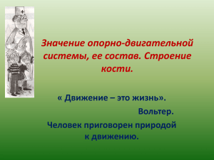 Значение опорно-двигательной системы, ее состав. Строение кости. « Движение – это жизнь».