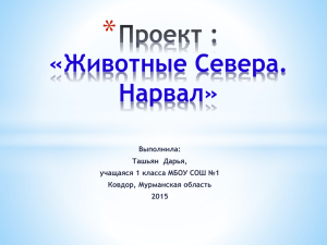 Проект-презентация