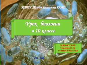 2013 год РАЗРАБОТАЛА: Крылова О. В. Учитель биологии