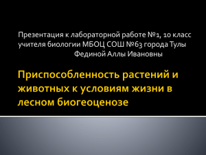 Презентация к лабораторной работе №1, 10 класс Фединой Аллы Ивановны