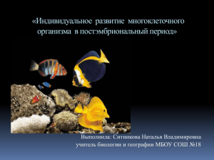 «Индивидуальное  развитие  многоклеточного организма  в постэмбриональный период»