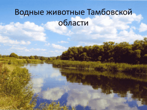 Водные животные Тамбовской области