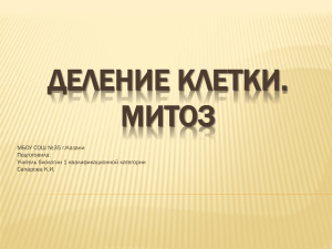 ДЕЛЕНИЕ КЛЕТКИ. МИТОЗ МБОУ СОШ №35 г.Казани Подготовила: