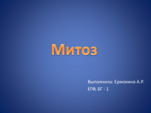 Митоз - Cloudfront.net