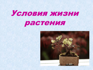 Условия жизни растения