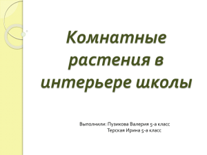 Комнатные растения в интерьере школы