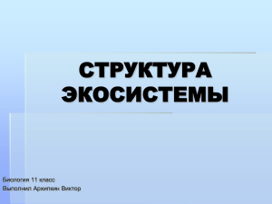 СТРУКТУРА ЭКОСИСТЕМЫ Биология 11 класс Выполнил Архипкин Виктор