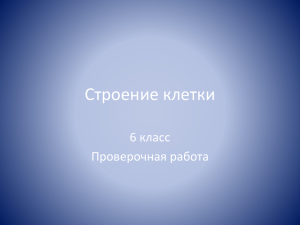 Строение клетки 6 класс Проверочная работа