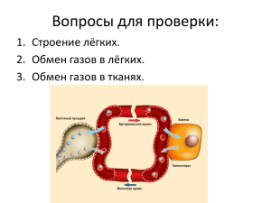 Вопросы для проверки: 1. Строение лёгких. 2. Обмен газов в лёгких.