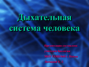 Дыхательная система человека Презентация составлена учителем биологии