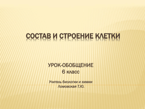 СОСТАВ И СТРОЕНИЕ КЛЕТКИ обобщение 6