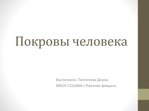 Покровы человека Выполнила: Пехтелева Диана МБОУ СОШ№6