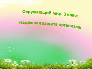 Документ5107282 5107282