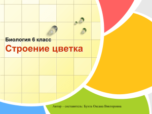 Строение цветка Биология 6 класс Автор – составитель: Бухта Оксана Викторовна