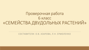 Проверочная работа семейства Двудольных растений