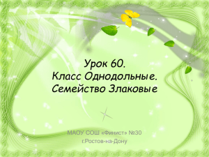 Урок 60. Класс Однодольные. Семейство Злаковые МАОУ СОШ «Финист» №30