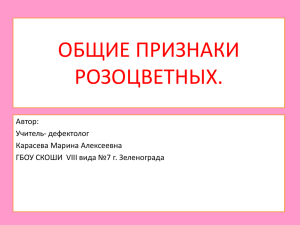 ОБЩИЕ ПРИЗНАКИ РОЗОЦВЕТНЫХ. Автор: Учитель- дефектолог