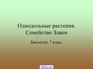 Однодольные растения. Семейство Злаки Биология, 7 класс