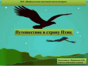 Путешествие в страну Птиц КОУ «Шербакульская адаптивная школа-интернат» Подготовила: Щербакова Н.В.,