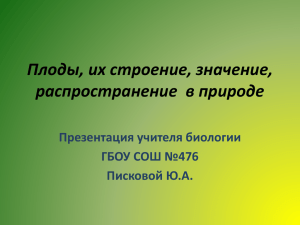 Плоды, их строение, значение, распространение  в природе Презентация учителя биологии