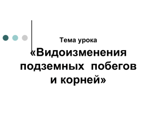 «Видоизменения подземных  побегов и корней» Тема урока