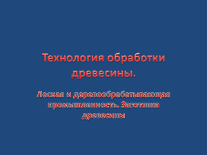 Технология обработки древесины. Лесная и