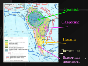 Влажные вечно зеленые леса