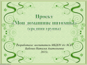 Мои домашние питомцы