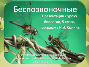 Презентация к уроку биологии в 5 классе Беспозвоночные