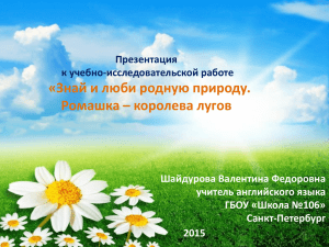 «Знай и люби родную природу. Ромашка – королева лугов Презентация к учебно-исследовательской работе