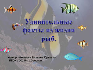 Автор: Шмырева Татьяна Юрьевна МБОУ СОШ №1 г.Узловая.