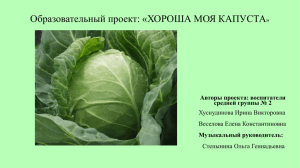 Образовательный проект: «ХОРОША МОЯ КАПУСТА Авторы проекта: воспитатели средней группы № 2