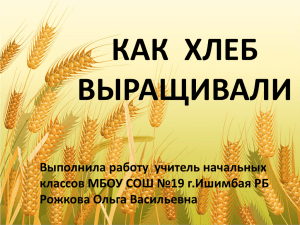 КАК  ХЛЕБ ВЫРАЩИВАЛИ Выполнила работу  учитель начальных