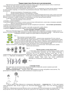 БЕСПОЛОЕ РАЗМНОЖЕНИЕ