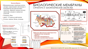 стенд.докладпо.мембранам.psd