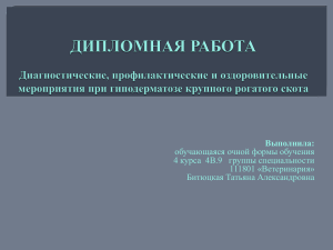 ДИПЛОМНАЯ РАБОТА