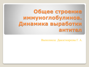 общее строение иммуноглобулинов