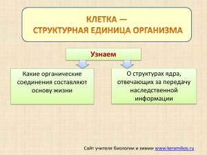 Клетка   структурная единица организма