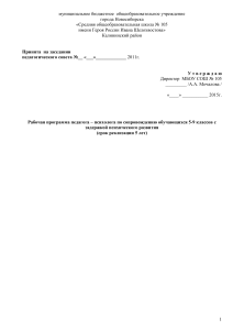 коррекционно-развивающая программа по ОВЗ 5-9 класс