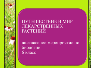 внеклассное мероприятие ПУТЕШЕСТВИЕ В МИР ЛЕКАРСТВЕННЫХ РАСТЕНИЙ