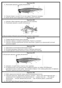 Карточка рыбы тк