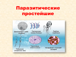 Паразитические простейшие