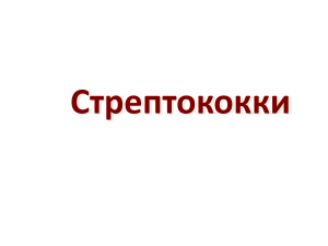 стрептококки