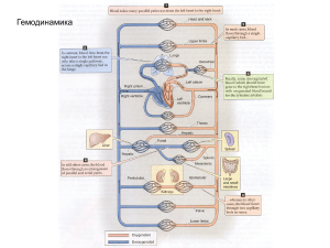 Гемодинамика