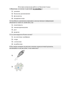 Итоговая контрольная работа по биологии 6 класс(Самкова)