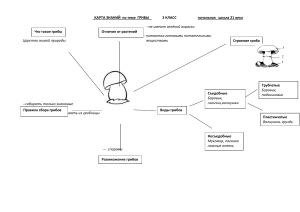 интеллект карта ГРИБЫ