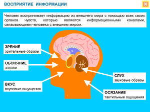 Информация. Виды информации.