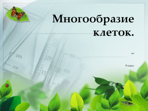 многообразие клеток ур 4 9 кл.