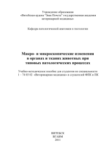 Методические рекомендации по общей патанатомии